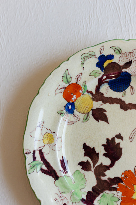 pair of antique hand painted mason's "woodpigeon branch" plates
