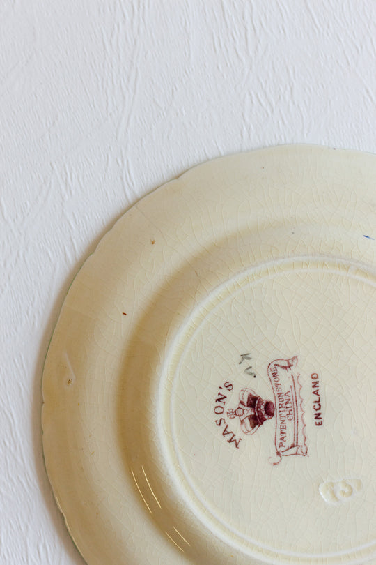 pair of antique hand painted mason's "woodpigeon branch" plates