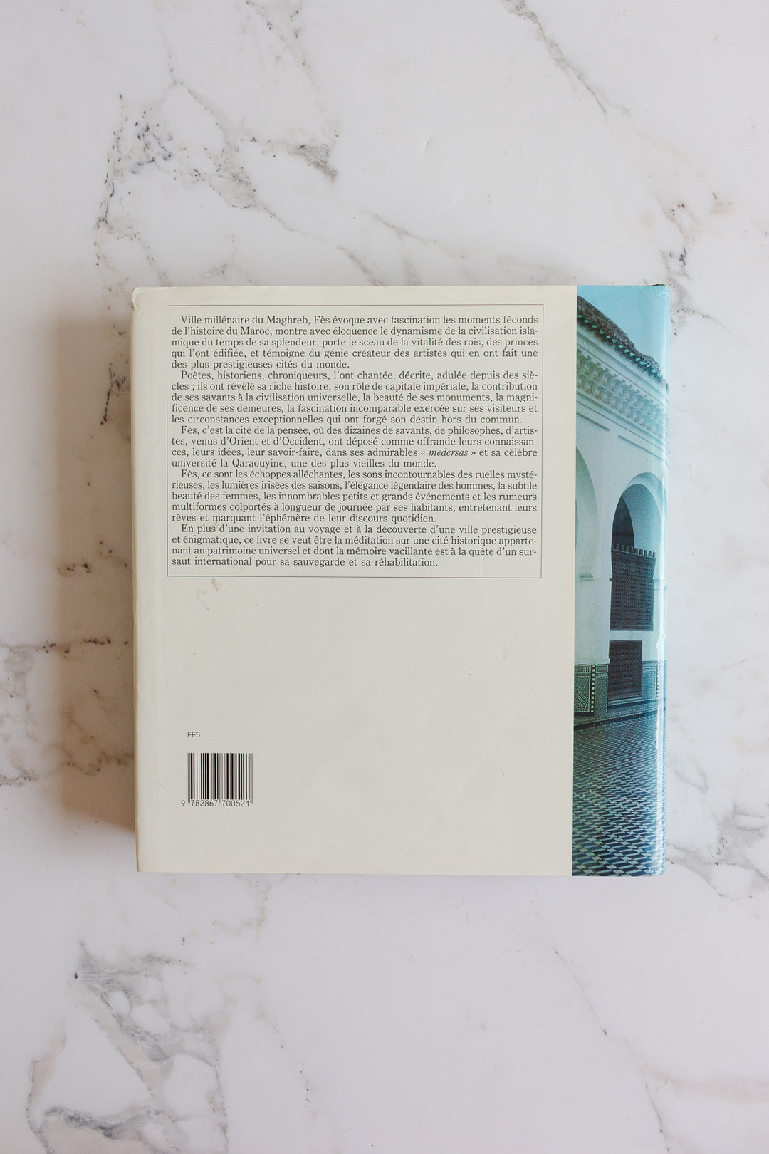 "fès cité de l'art et du savoir" vintage Moroccan art book