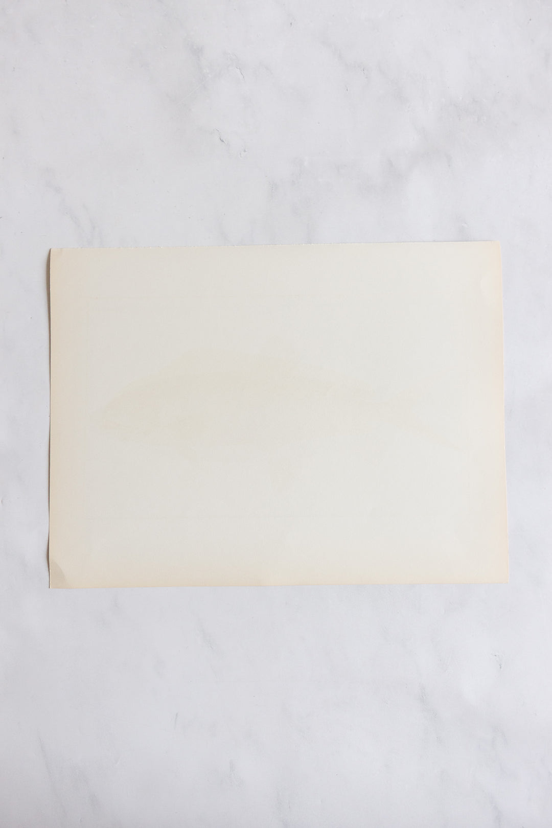 rare midcentury “des poissons” lithographs