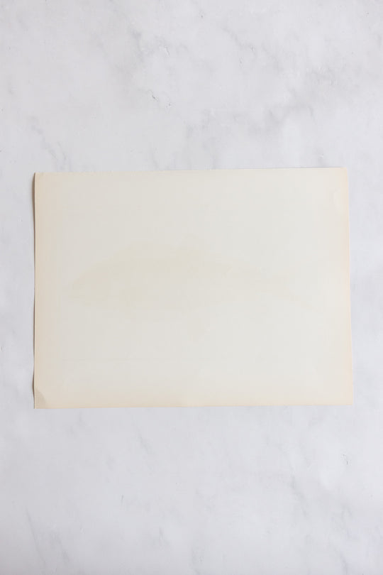 rare midcentury “des poissons” lithographs