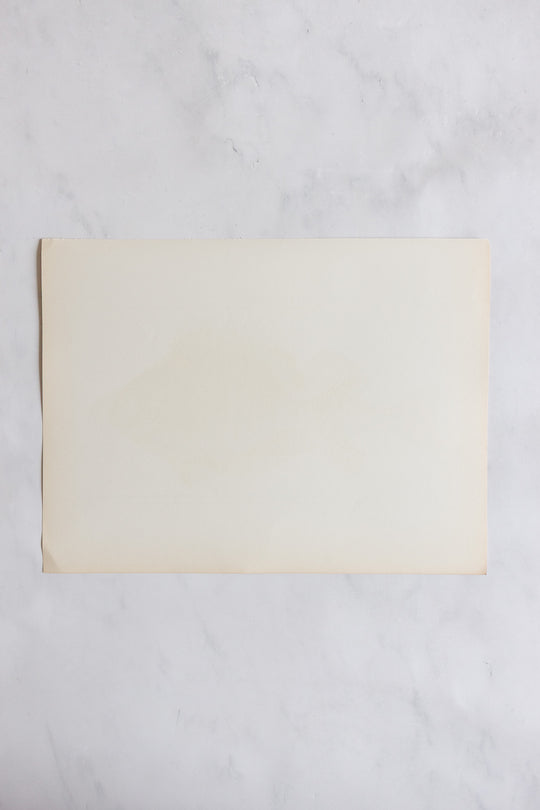 rare midcentury “des poissons” lithographs