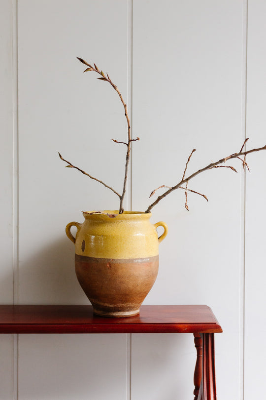 antique french 19th century earthenware confit pot