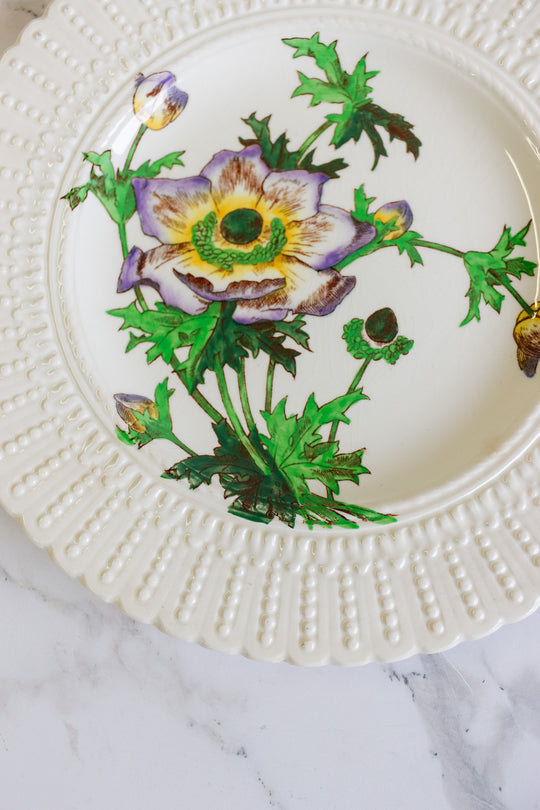 flower series plate by royal cauldon