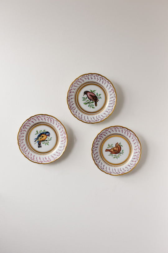 vintage italian sevres style hand painted bird plates, set of 3