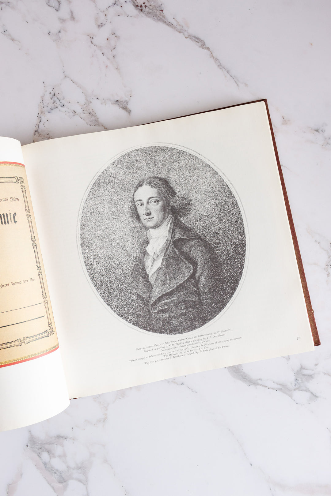 "the life of Ludwig Beethoven" book - Joliette