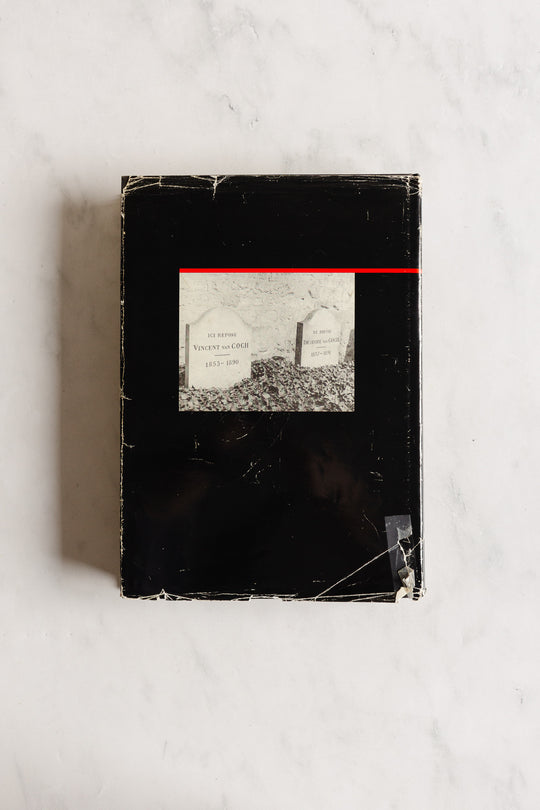 vincent and theo van gogh: a dual biography