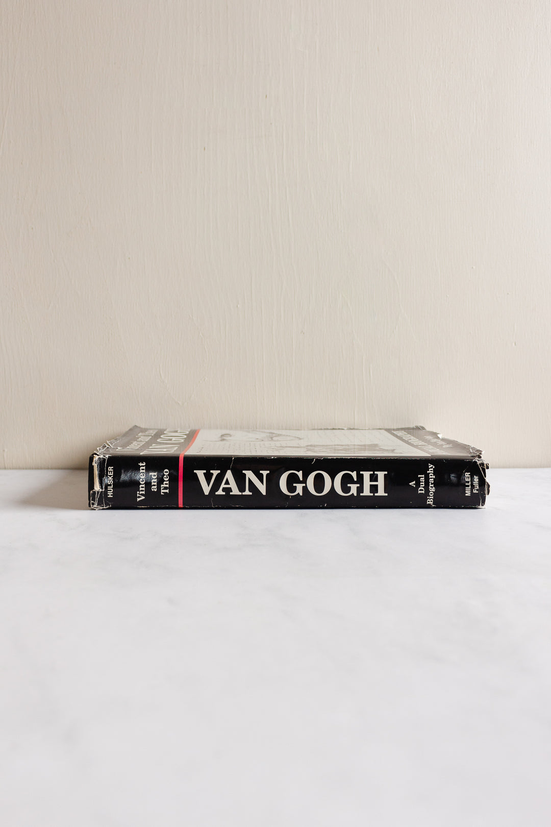 vincent and theo van gogh: a dual biography
