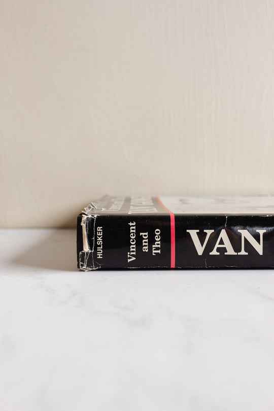 vincent and theo van gogh: a dual biography