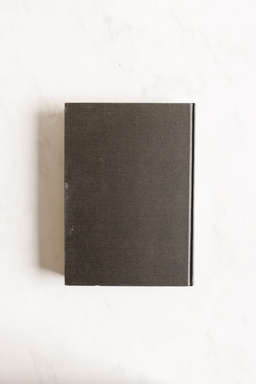 vincent and theo van gogh: a dual biography