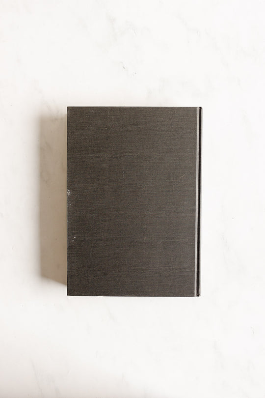 vincent and theo van gogh: a dual biography