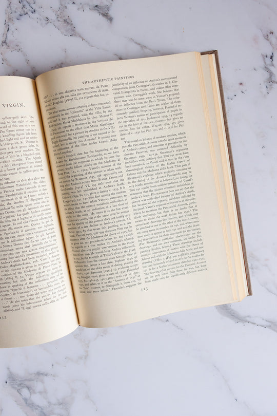 Andrea Del Sarto catalogue raisonnné
