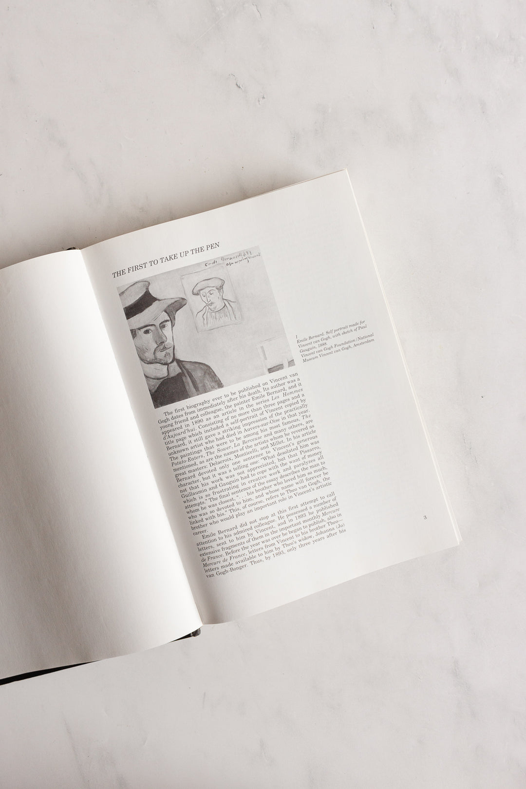 vincent and theo van gogh: a dual biography