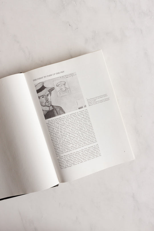 vincent and theo van gogh: a dual biography