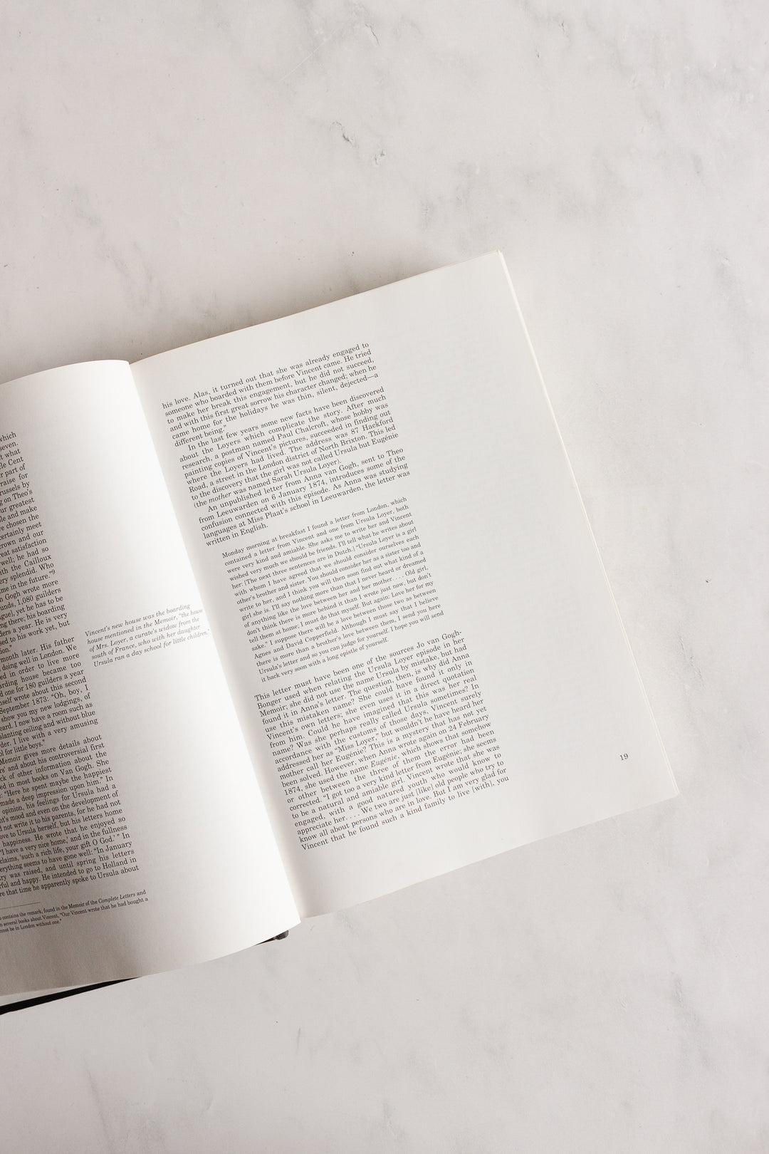 vincent and theo van gogh: a dual biography