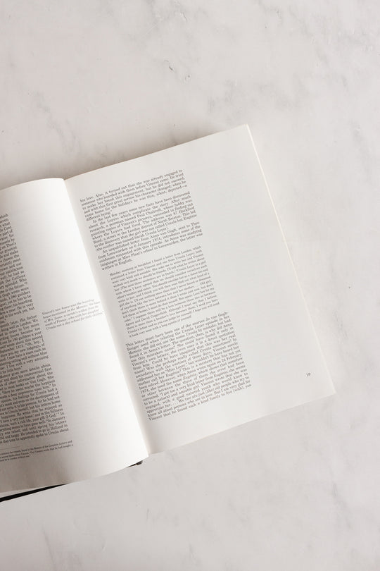 vincent and theo van gogh: a dual biography