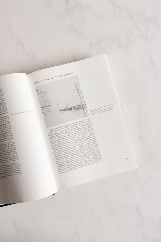 vincent and theo van gogh: a dual biography