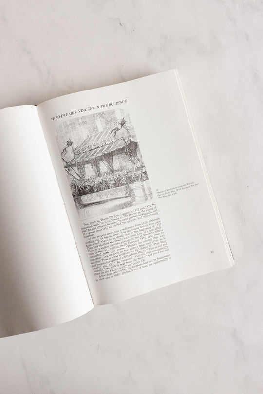 vincent and theo van gogh: a dual biography