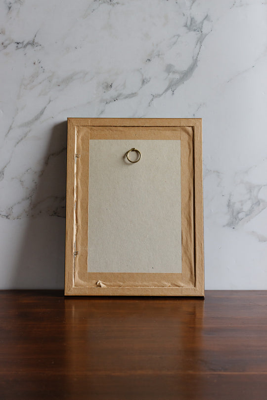 vintage french framed "canard" print