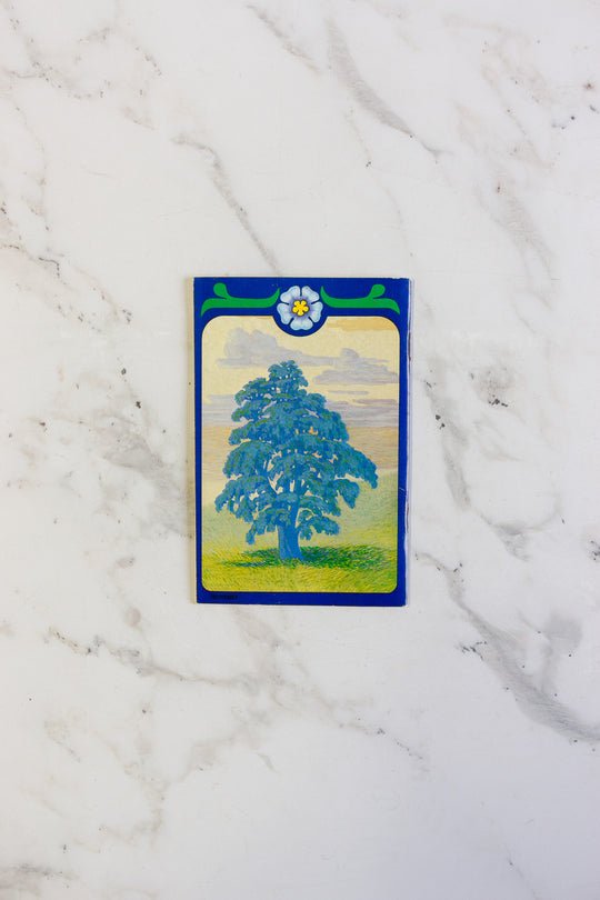 pair of bibliothek and notizen vintage german notebooks