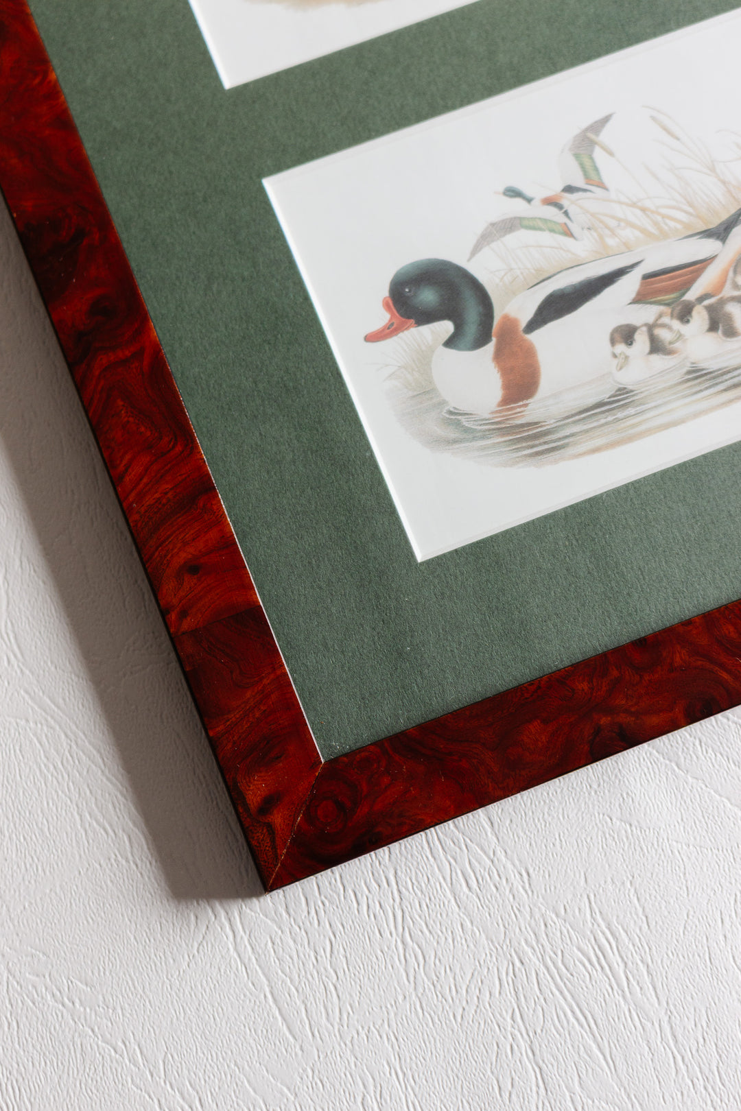 vintage french framed "canard" print