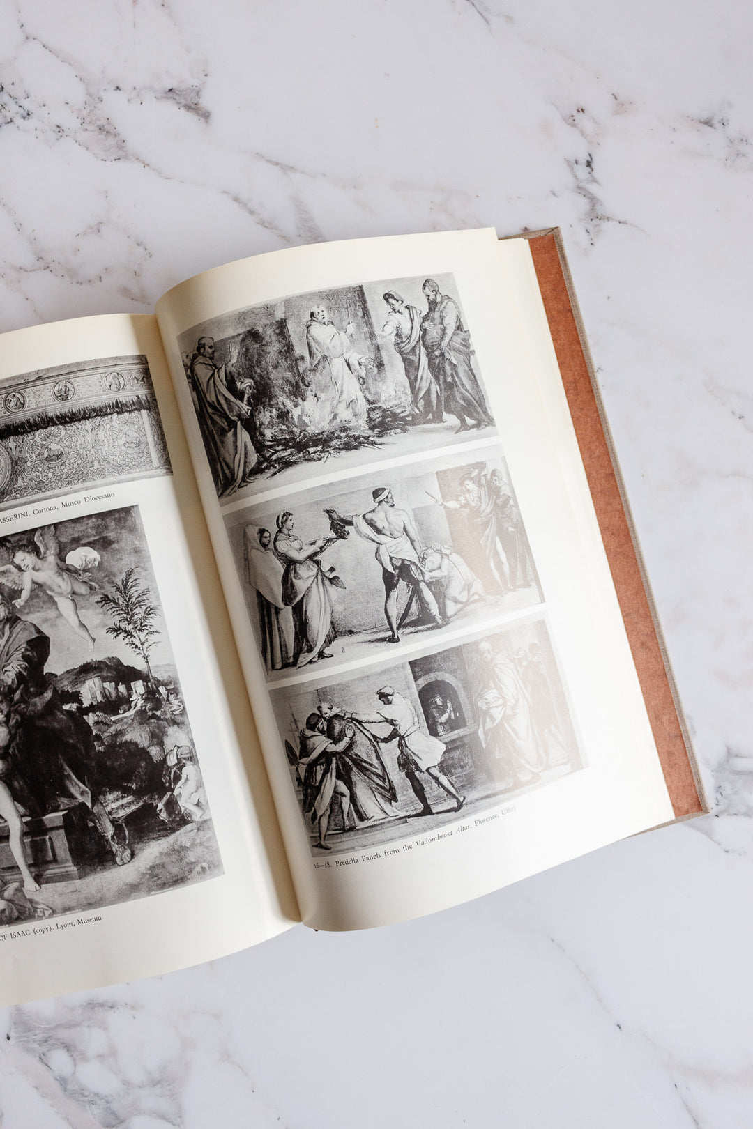 Andrea Del Sarto catalogue raisonnné