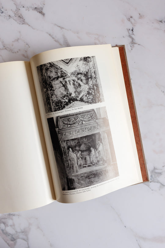 Andrea Del Sarto catalogue raisonnné