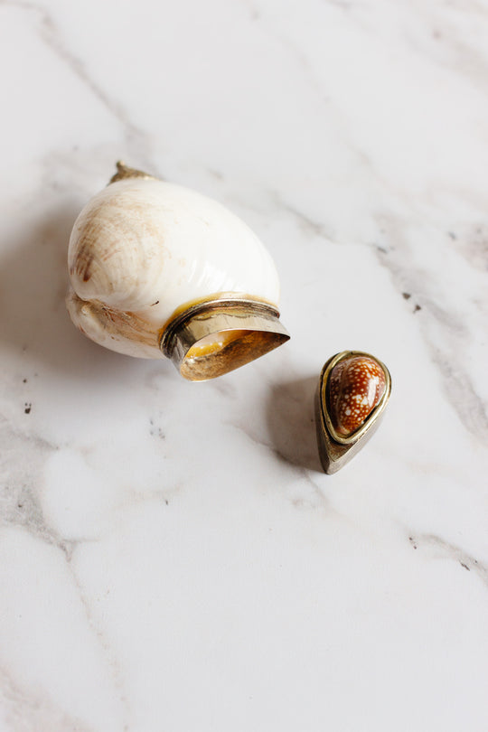 19th century French silver and seashell snuff box