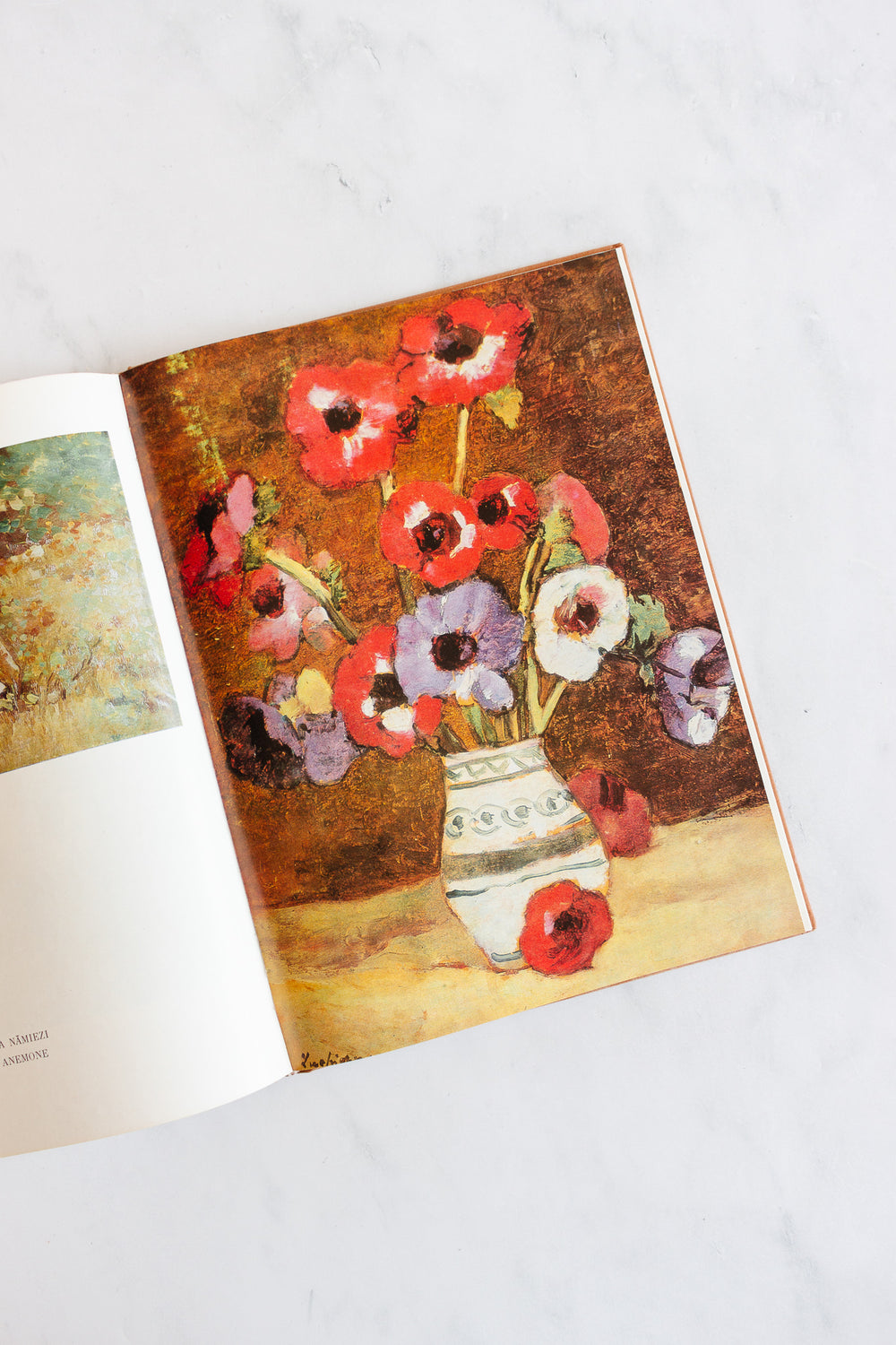 vintage Romanian art book, “luchian”
