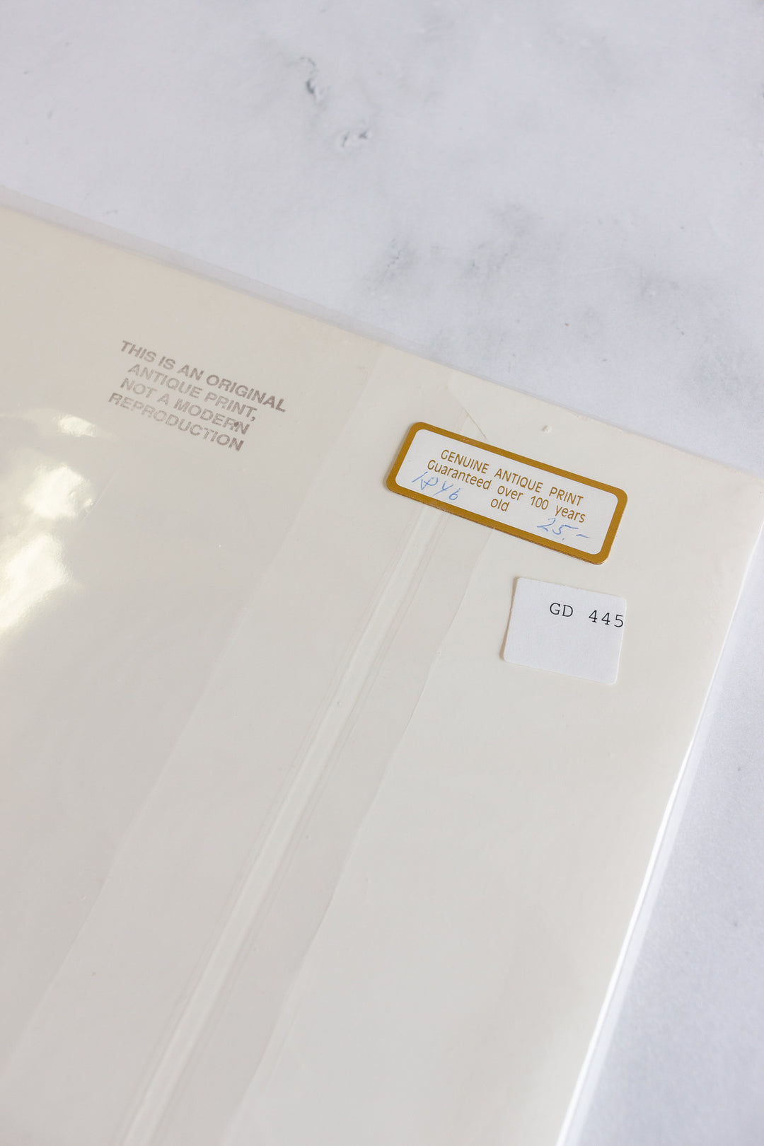 antique ornithological prints