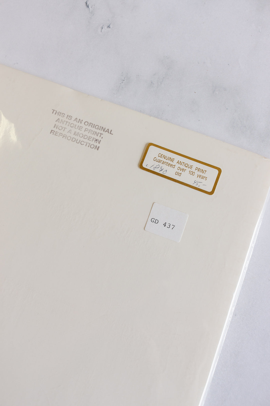 antique ornithological prints