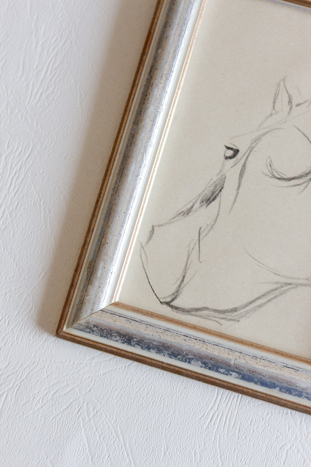 la tête du cheval