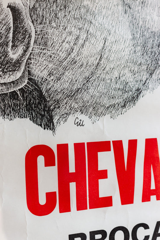 16th annual foire aux chevaux event poster