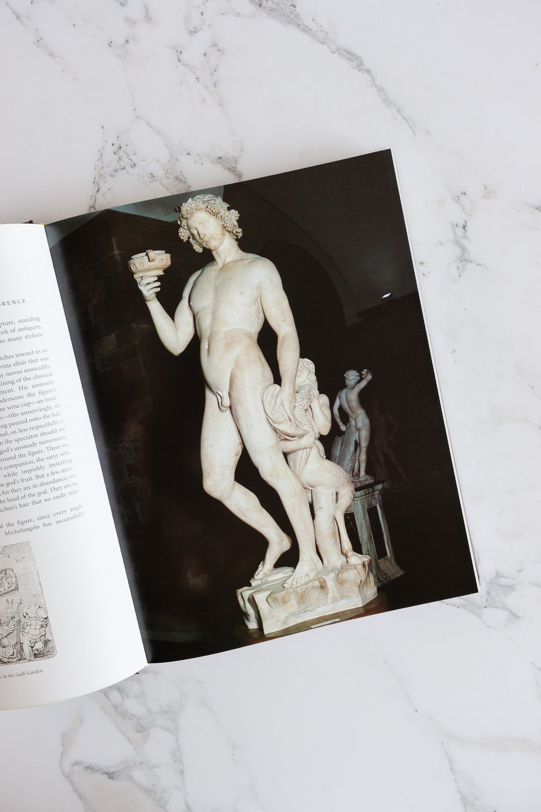 "Michelangelo: the complete sculpture, painting, architecture" vintage coffee table book