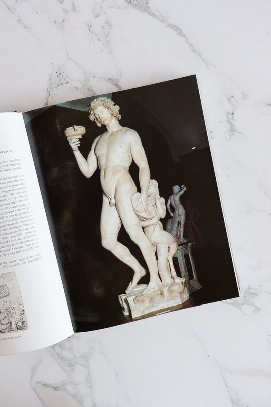"Michelangelo: the complete sculpture, painting, architecture" vintage coffee table book