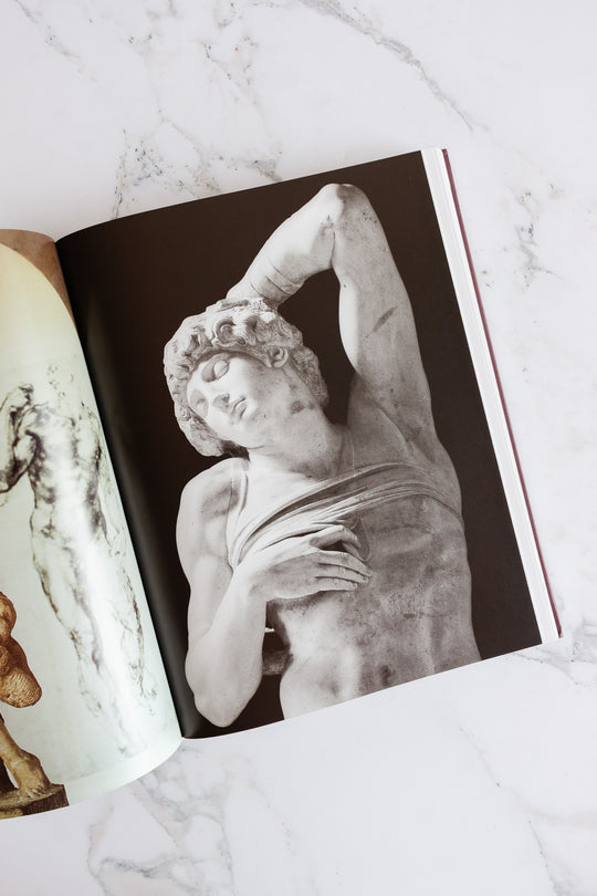 "Michelangelo: the complete sculpture, painting, architecture" vintage coffee table book