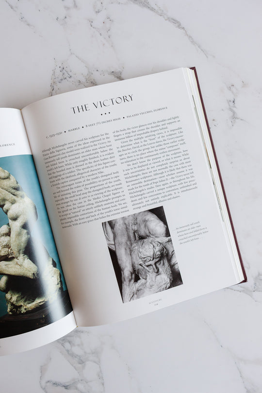 "Michelangelo: the complete sculpture, painting, architecture" vintage coffee table book