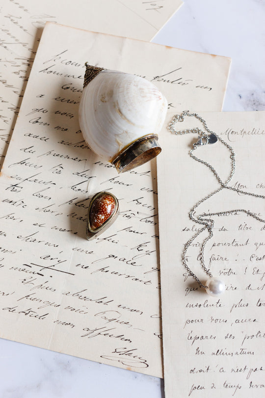 19th century French silver and seashell snuff box