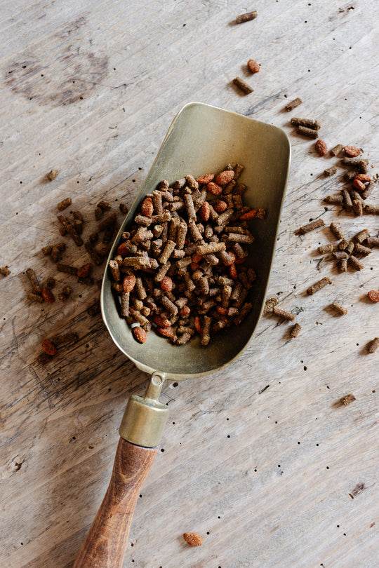 antique french brass and wood grain scoop