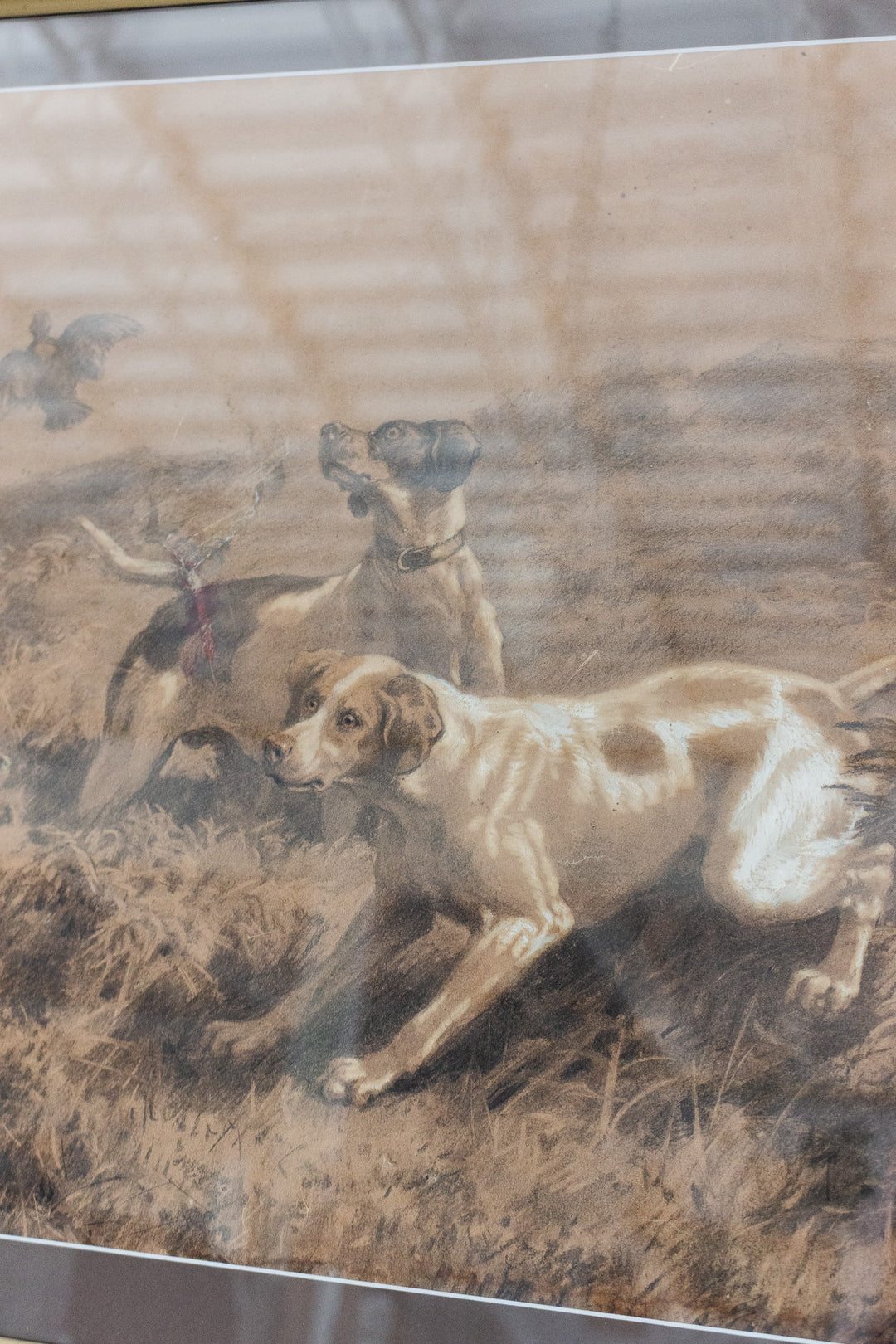 les chiens et la chasse 1869