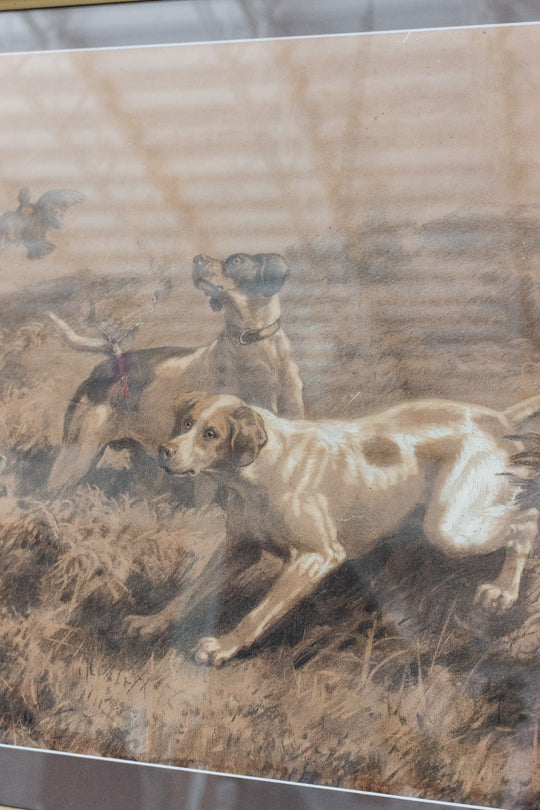 les chiens et la chasse 1869