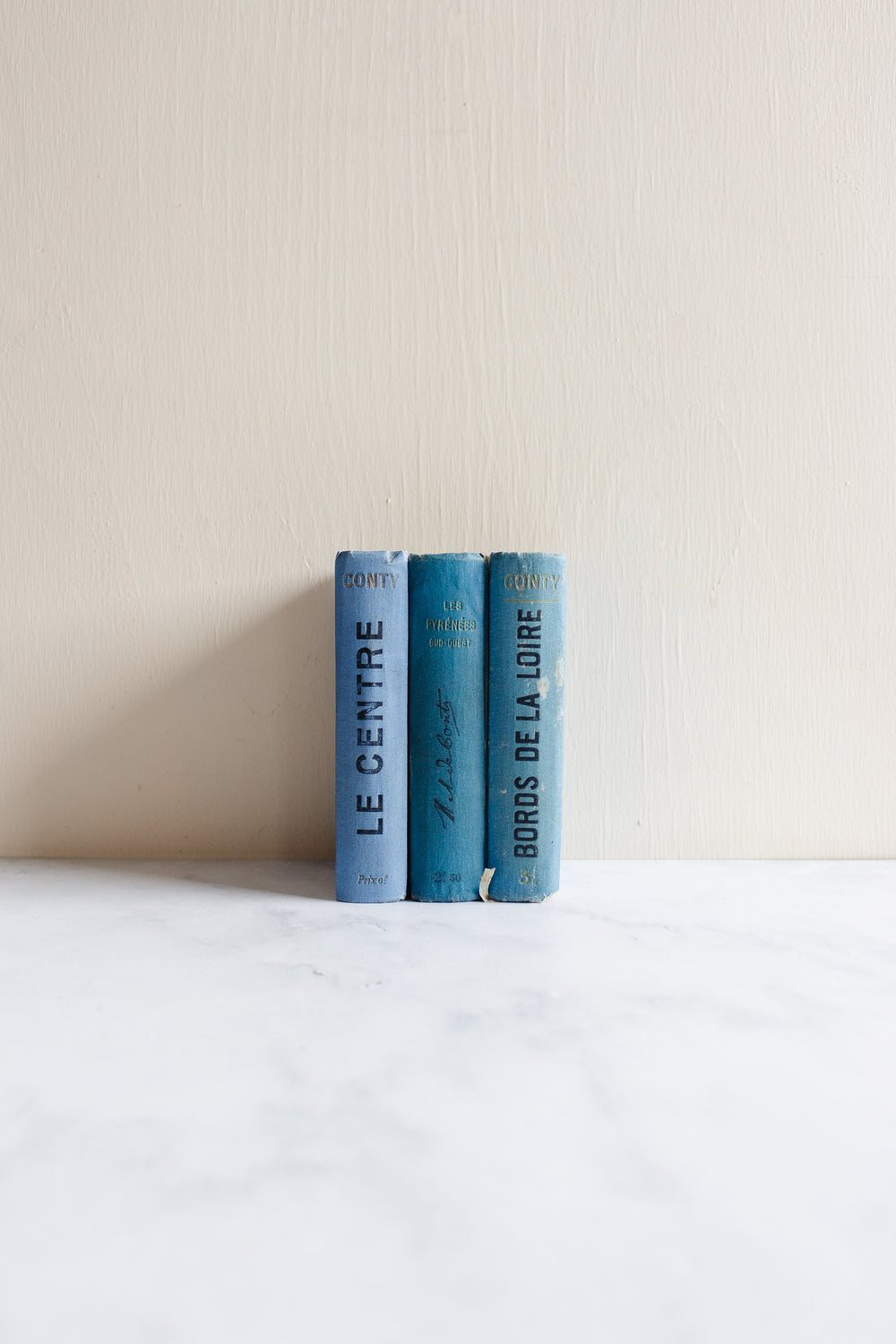 turn of the century French “guides conty” travel guide book, “bords de la loire”