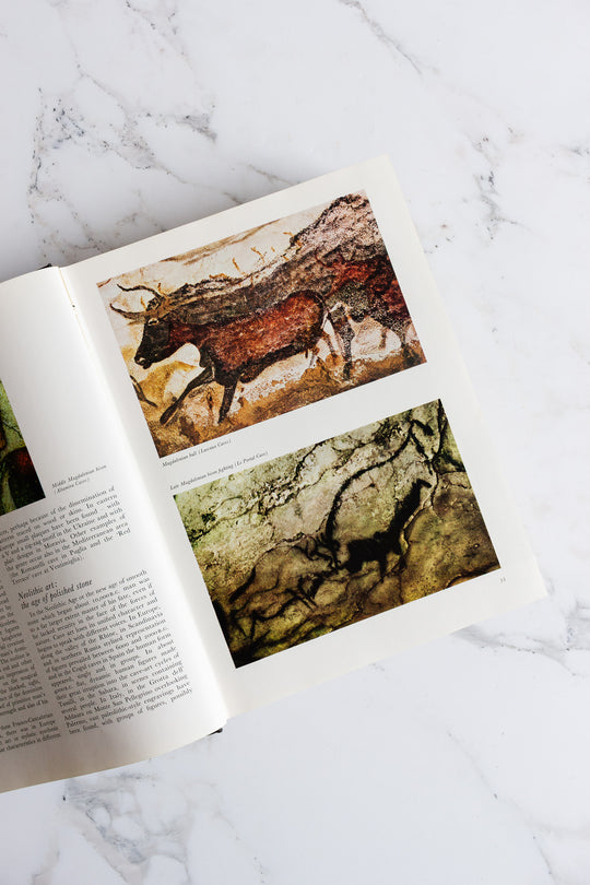 a world history of art
