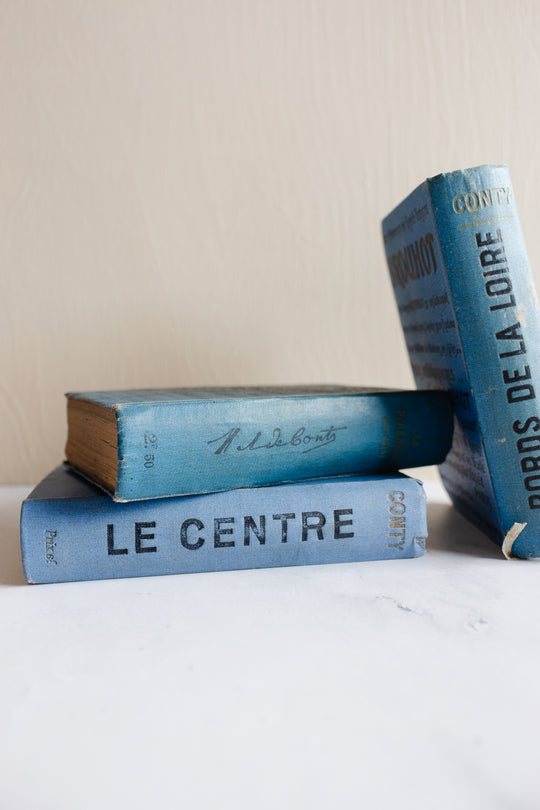 turn of the century French “guides conty” travel guide book, “bords de la loire”