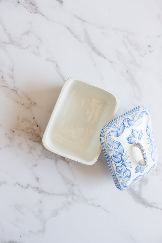 antique french Sarreguemines transferware covered soap dish