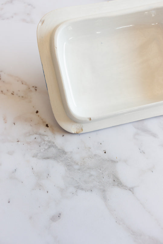 antique french Sarreguemines transferware covered soap dish