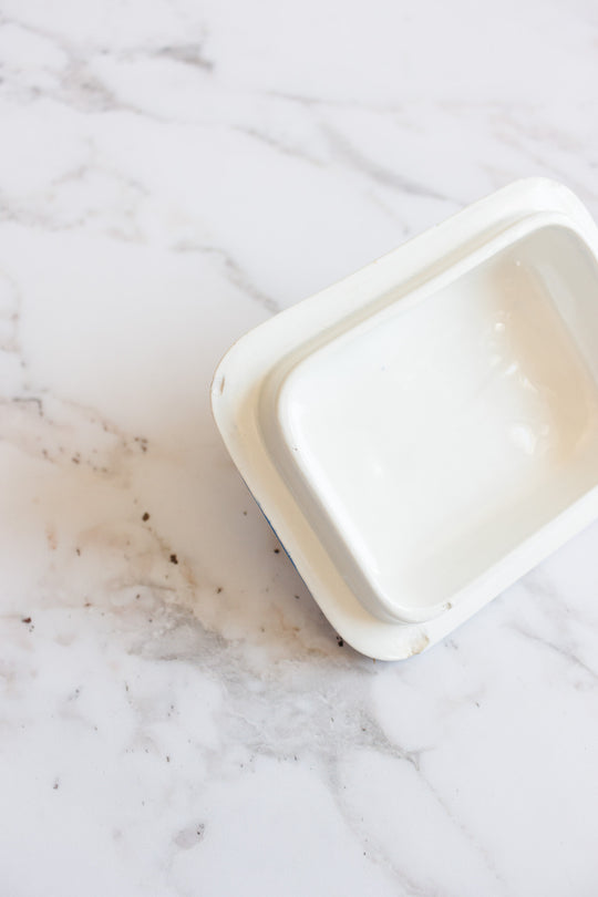 antique french Sarreguemines transferware covered soap dish