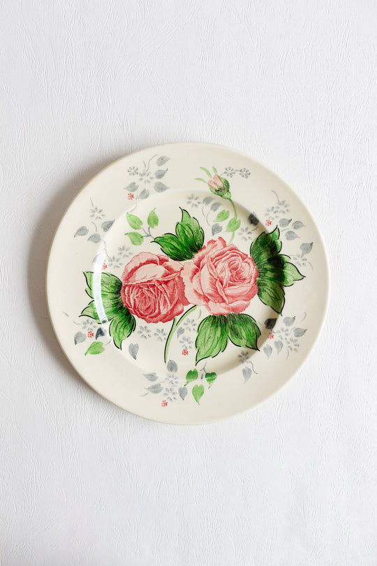 antique english adams pottery rose plate — royal ivory titian ware