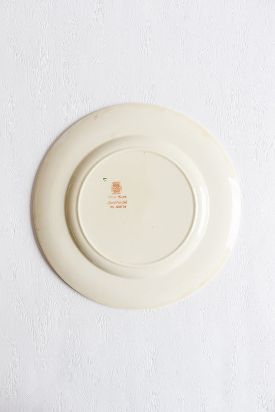 antique english adams pottery rose plate — royal ivory titian ware