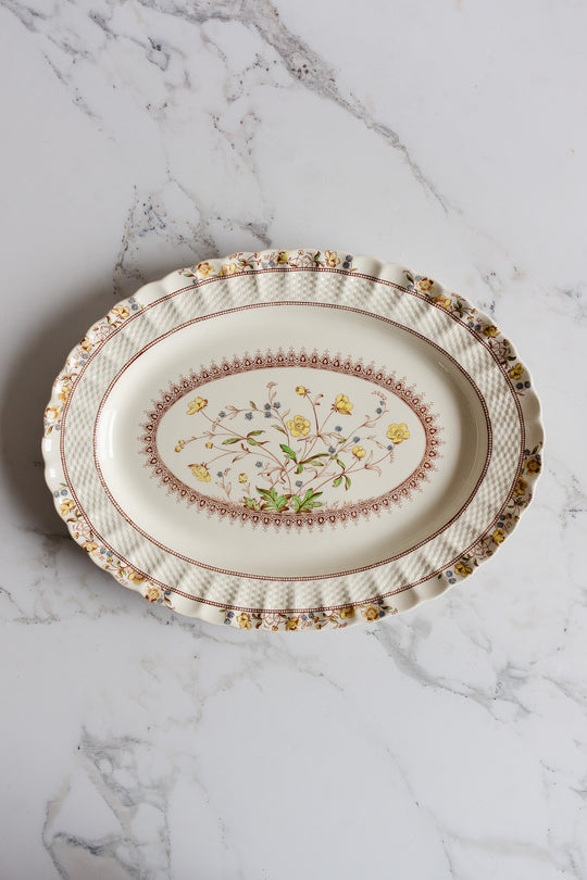 vintage Copeland spode "buttercup" platter